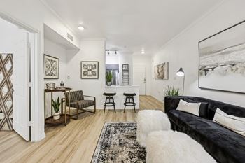 A black and white living room with a couch, chair, and rug.